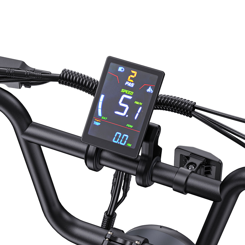 Engwe M1-D 250W 48V 28.6Ah Battery Dual Seat Electric Bicycle With Dual Suspension