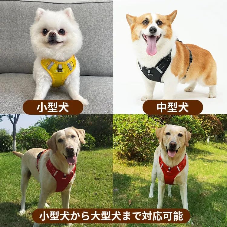 GIIPET Hund Skånsom om natten for og Stor Gåhjelp Krage Myk Lett å ta på og av Pustende Mesh for Gåing og Shiba Alle Størrelser