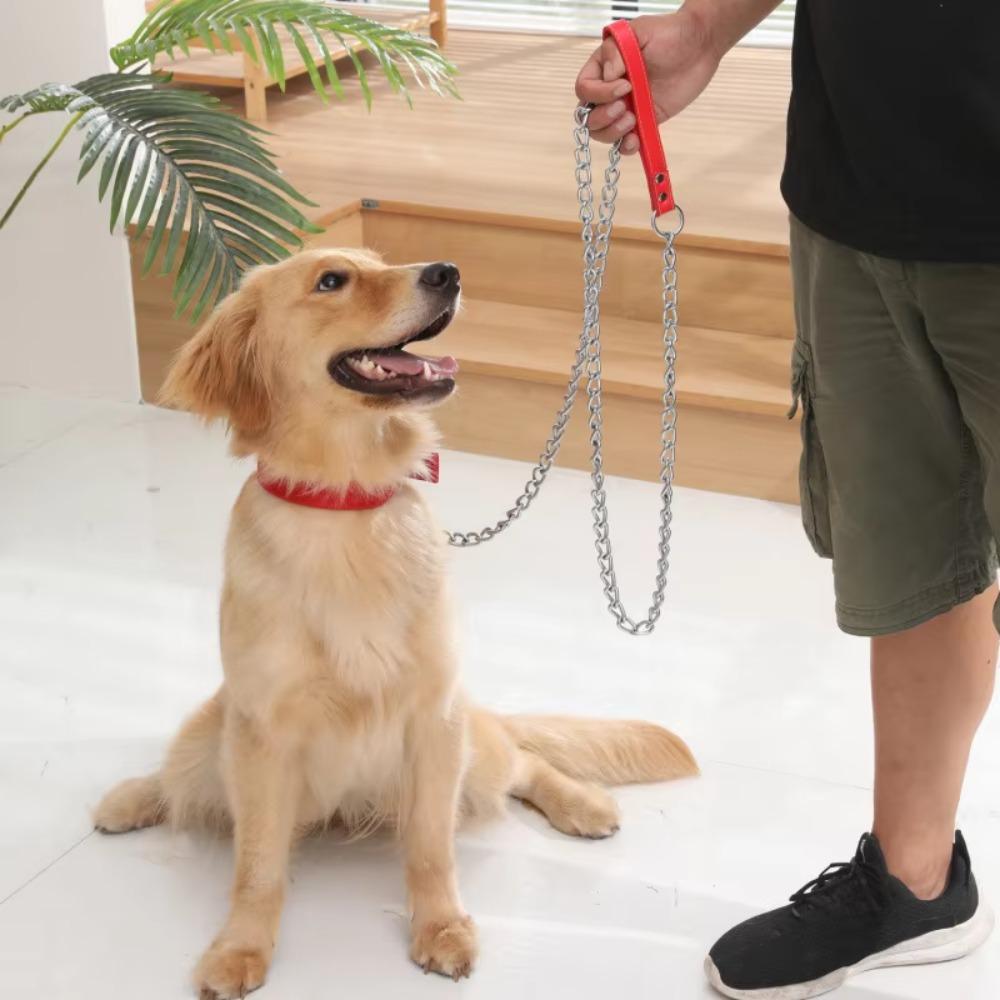 Bite Resistant Pet Dog Leash Anti-wear Dog Traction Rope Dog Harnesses Iron Dog Chain  Outdoor