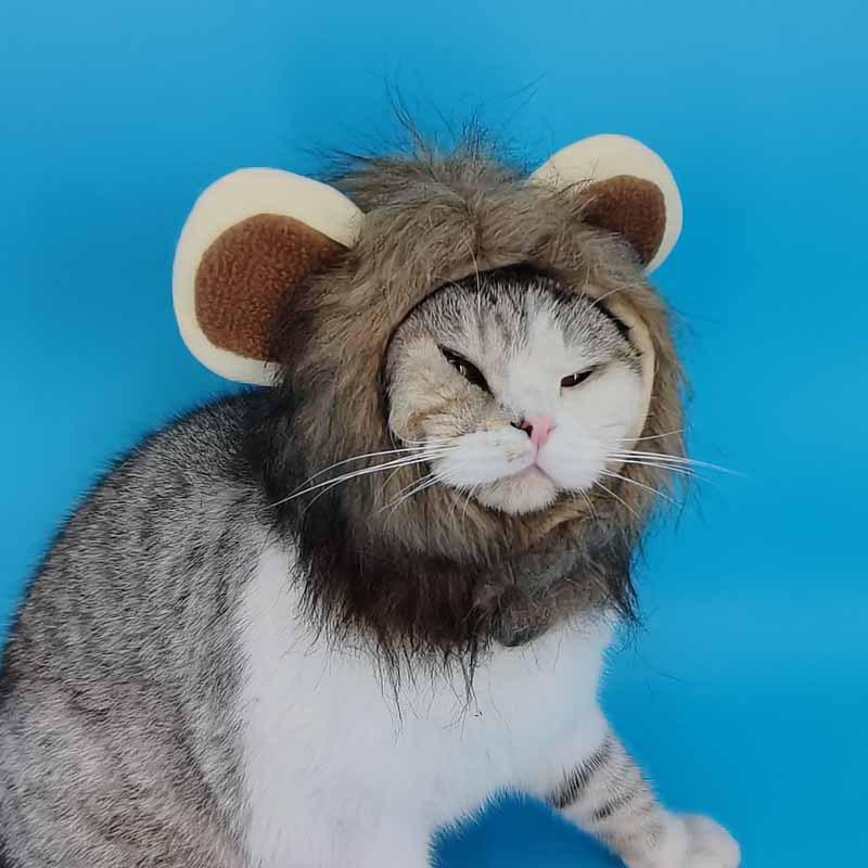 Universal Halloween Lion Costume Hat for Cats & Dogs – Adjustable Velcro, Cute Autumn/Winter Pet Accessory