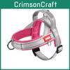Rope Traction Pet With Color Collision Design And Saddle Style Chest And Back