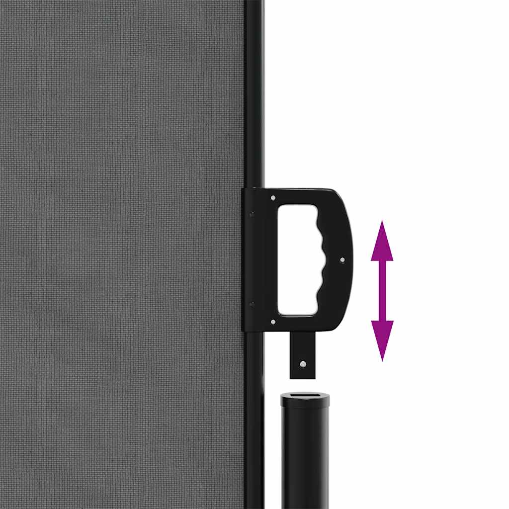 Retractable Side Awning Anthracite 200 x 300 cm