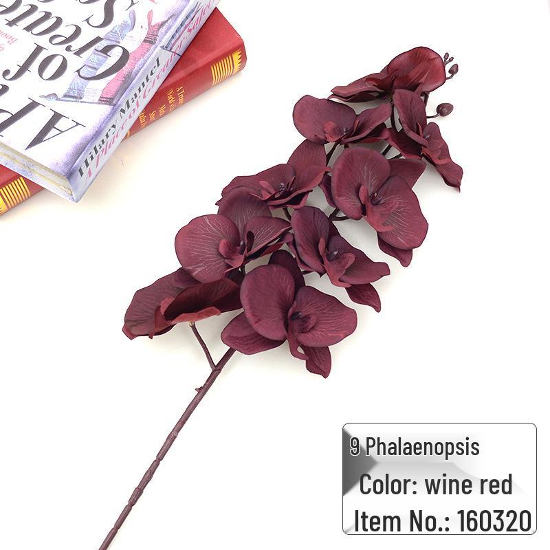 9-Head Phalaenopsis Orchid for Home, Project Landscaping, or Wedding Decoration