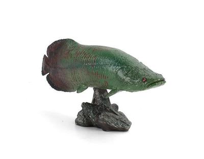 Peces y mascotas acuáticas – Decoración de peceras