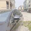 Mazda 2 Ruiyi Xingpin Carbon Fiber Rearview Mirror Cover
