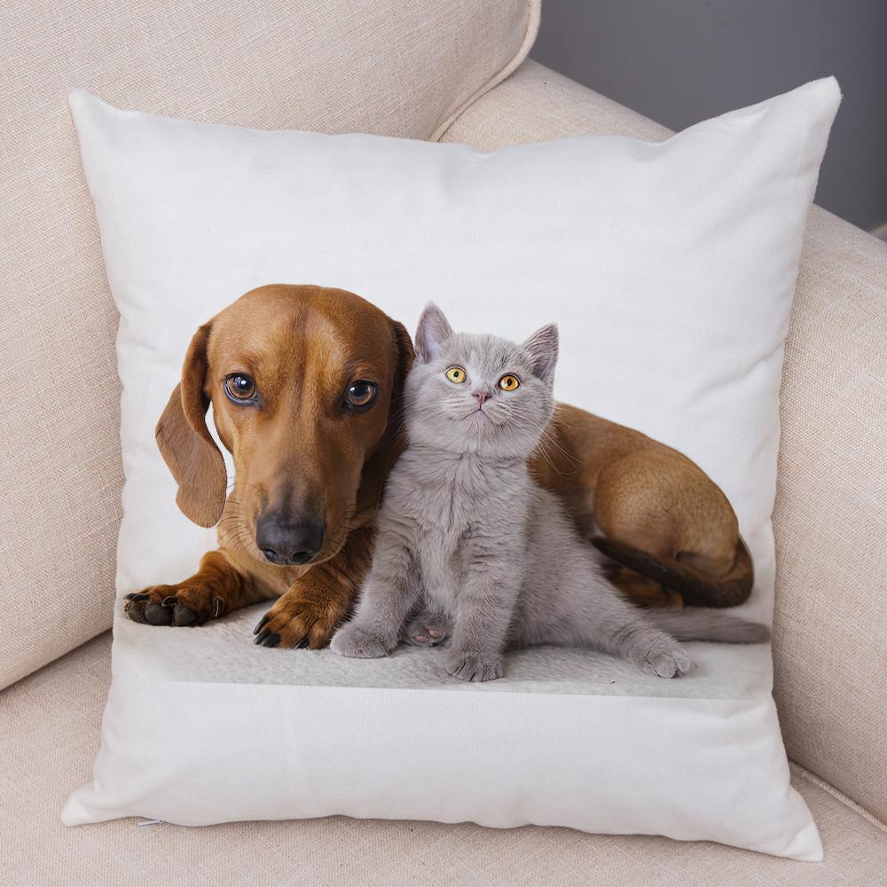 Cute Cat Dog Photo Cushion Cover Realistic Animal Portrait Print Soft Blend Sofa Living Room Bedroom Home Decor Throw PillowCase