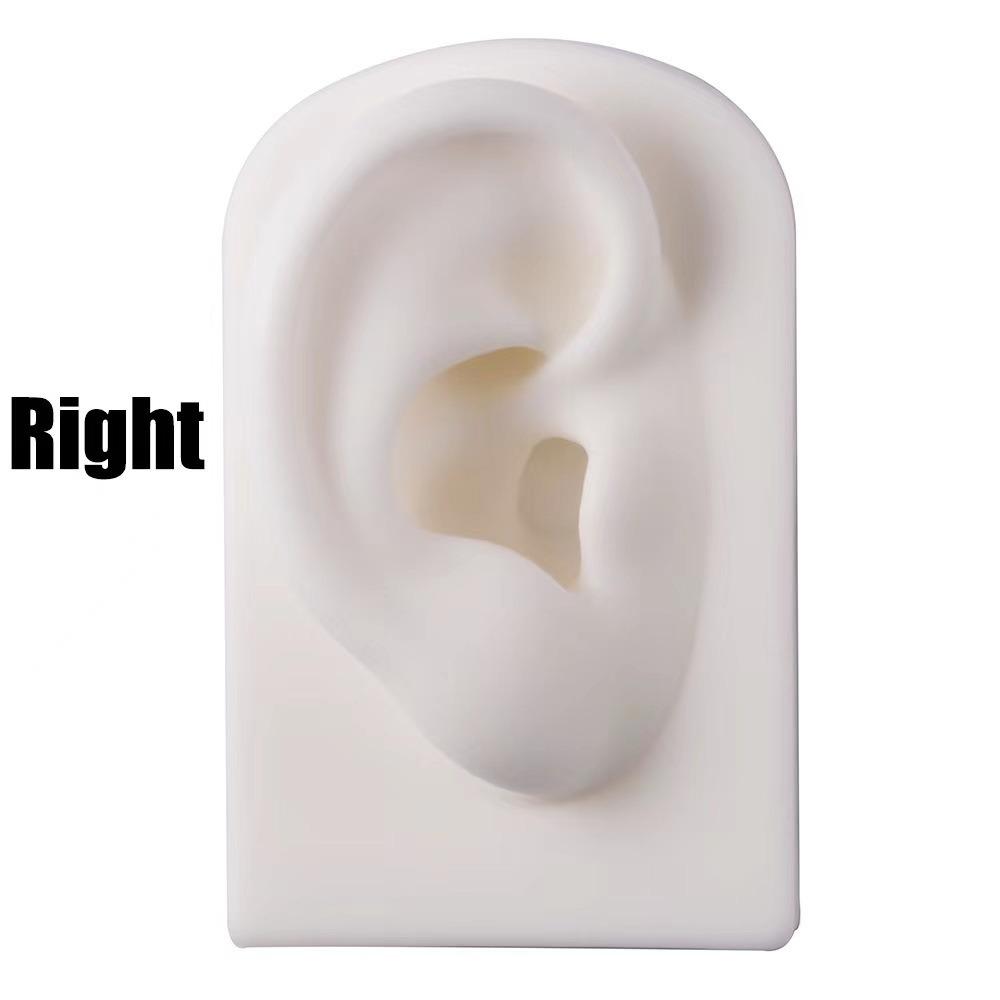 Weiches Silikon Ohrmodell Leichter Ohrring-Präsentationsständer Menschliches Ohrmodell Gestell Handwerk DIY