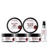 Volamena Organics Rotwein 6-Schritte Gesichts-Kit Für Strahlende Haut, Straffung & Festigung & Verjüngung Gesichts-Kit Für Frauen & Männer 280 ml