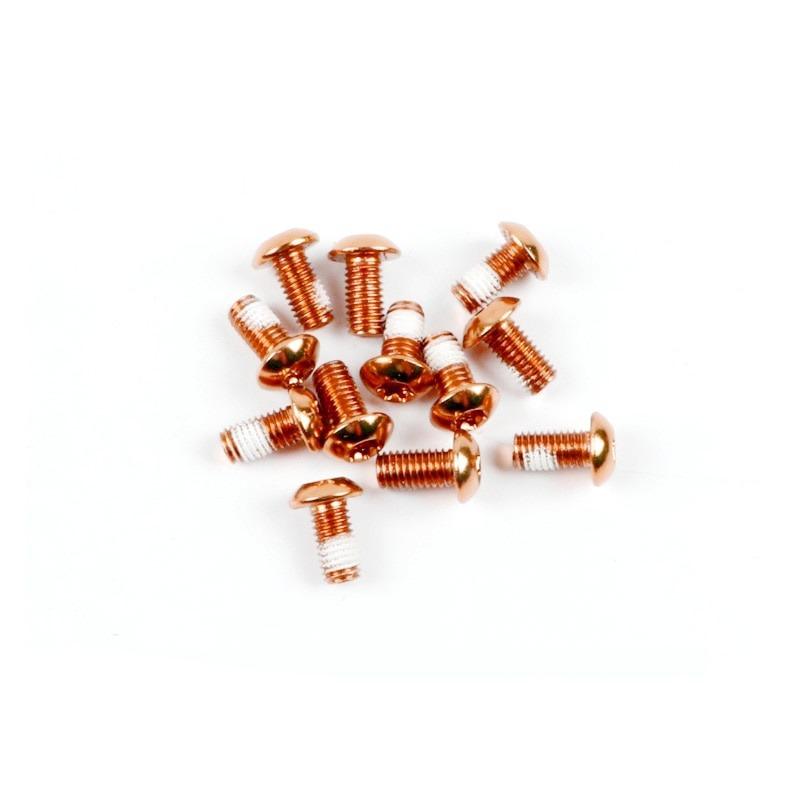 12PCS Colorful Bicycle Disc Brake Rotor Torx Bolts T25 M5x10mm MTB Bike Alloy Steel Disc Brake Rotor Fixing Screws