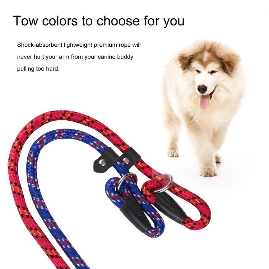 best training leash