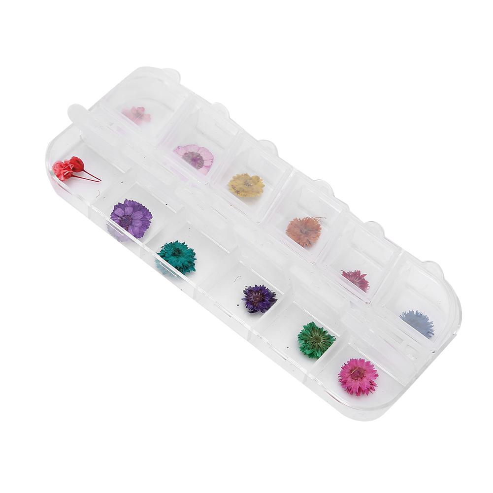 12 Colors  Box Dried Flower Nail Decoration DIY Nail Art Decoration AccessoriesD Style