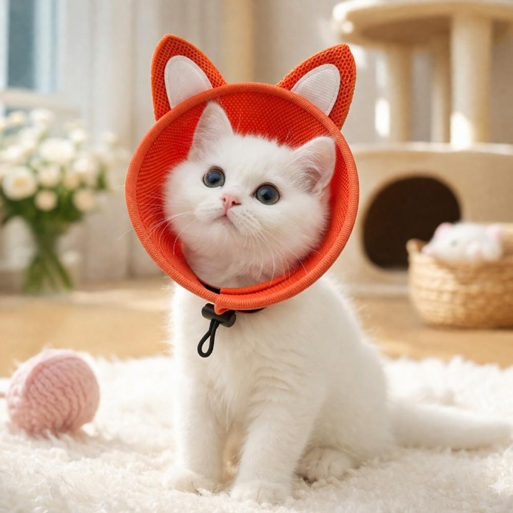 Tierförmiger Katzen-Elizabeth-Kragen Verstellbarer Katzen-Genesungskragen Katzen-Kegelkragen Kratzfest