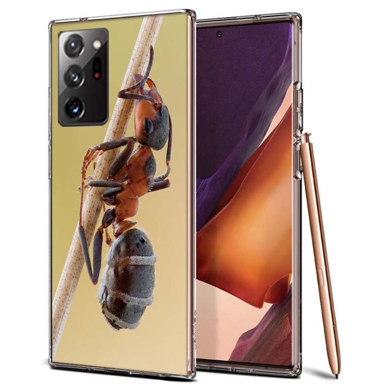 Red Fire Ants, Worker Ants Phone Case for Samsung A55 A35 A25 A15 A07 A05S A16 A17 A26 A36 A37 A56 A57 Galaxy Note 20 10 A50S A7