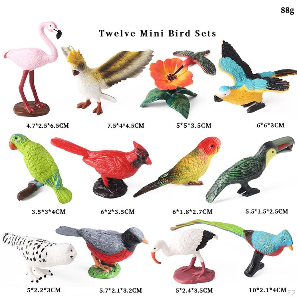 12Pcs Realistic Animal Model Solid Flying Bird Toy Miniature Figures Mini Birds Collection