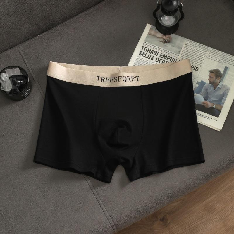 Men's Cotton Underwear Letters Simple Breathable Panties Knickers Men's Boxer Briefs Boxer Briefs Underpants