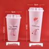 Qira Disposable Frosted Plastic Beverage Cups with Lids