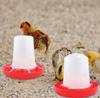 1set Poultry Automatic Drinker Bucket Chicken Feeder Barrel Water Bucket Quail Drinking Farm Chicken Coop Water Supplies