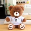 Polo Shirt Bear Doll Plush Toy Cute Teddy Bear Doll Graduation Gift