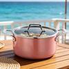 Deslon Enamel Cast Iron Dutch Oven