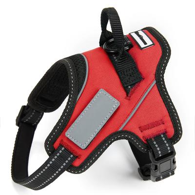 Recommended by Dog Liberte Gentle On the with Nameplate Trainers! Harness, Throat, (Small, Red)
