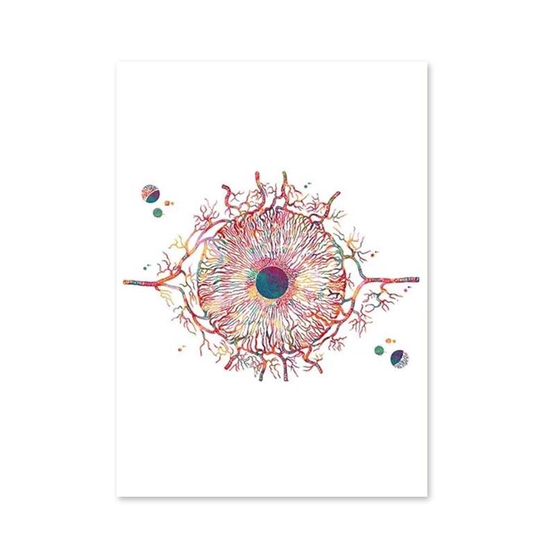 Abstrakte Auge Anatomie Augenarzt Optometrie Werkzeug Poster Und Drucke Wand Kunst Leinwand Malerei Bilder für Büro Wohnkultur