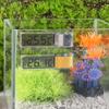 Turtle Fish Tank Water Tank Thermometer Temperature Control Aquarium Thermometer Pet Supplies