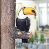 Estatueta de Tucano Decoração Abraçador de Árvore Enfeites Pendurados de Resina Estátua de Jardim Animal de Simulação Criativa Decoração de Parede de Quintal