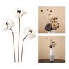 Dried Flower Arrangement in Vase, DIY Centerpiece for Bedroom and Event Decor