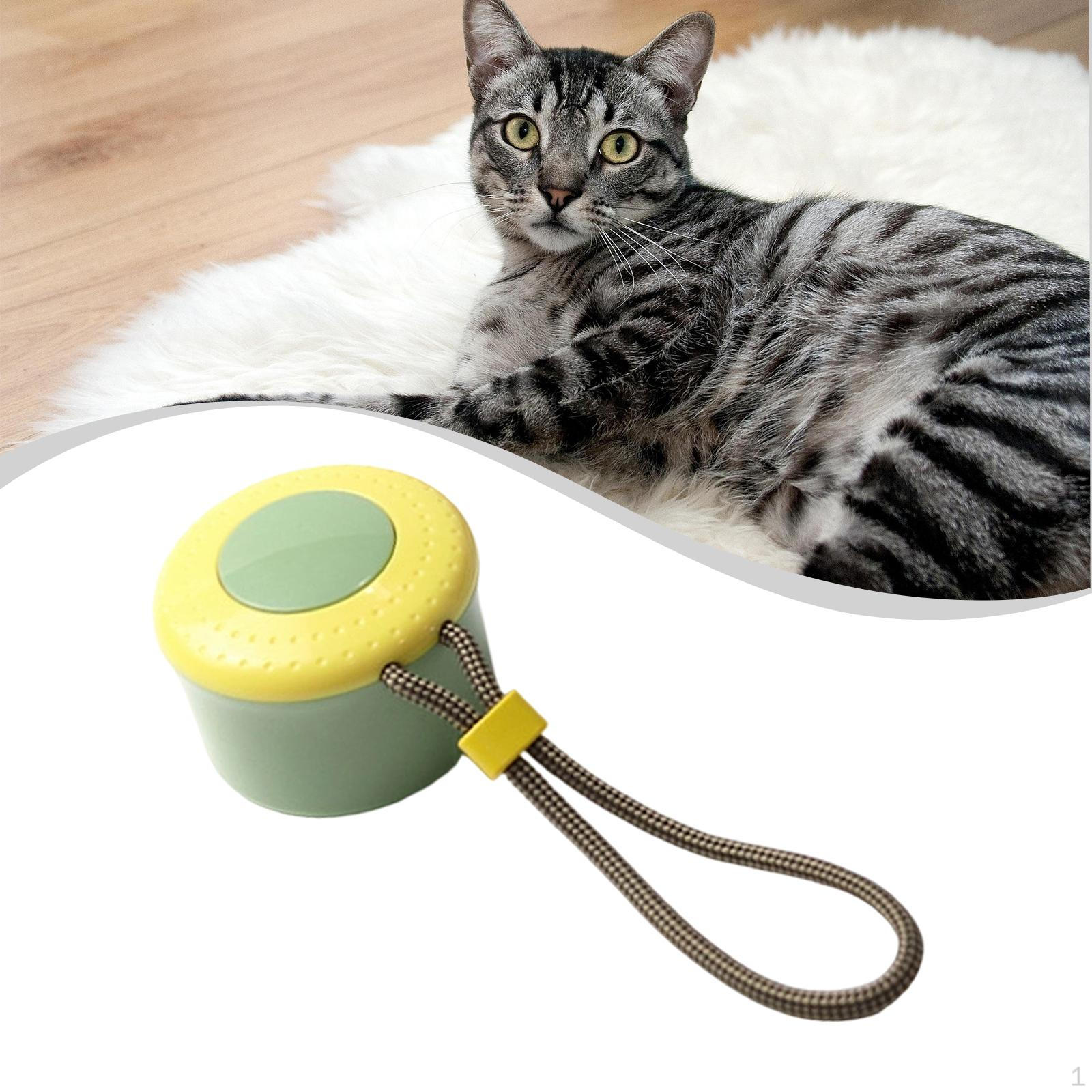 

Cat Brush for Gentle Removal – Removes Loose Hair And Tangles Suitable Long- зелёный