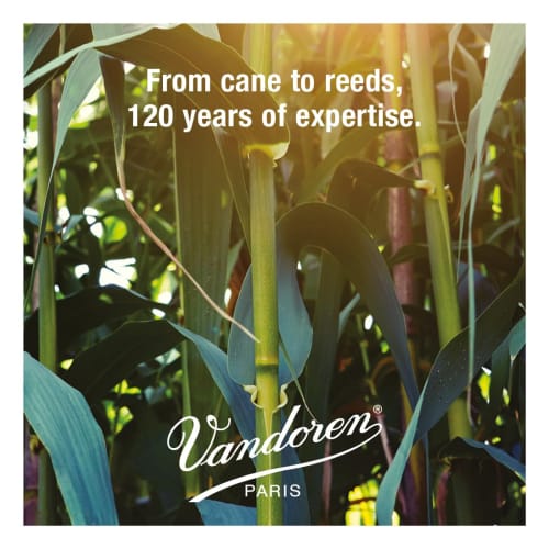 Vandoren Eb Clarinet Reeds V21, Hardness: 2-1/2 (Pack of 10)