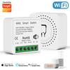 Graffiti Zigbee/WiFi Smart Multi-channel Switch: On-Off, Dry Contact, Curtain Control, Dimming, Metering Compatibility