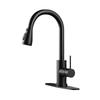 TLXT Golden Pull-out Wall-Mounted Kitchen Faucet