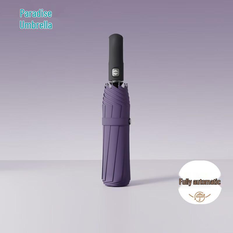 Tiantiangsan Automatic 10-Rib Reinforced Folding Umbrella