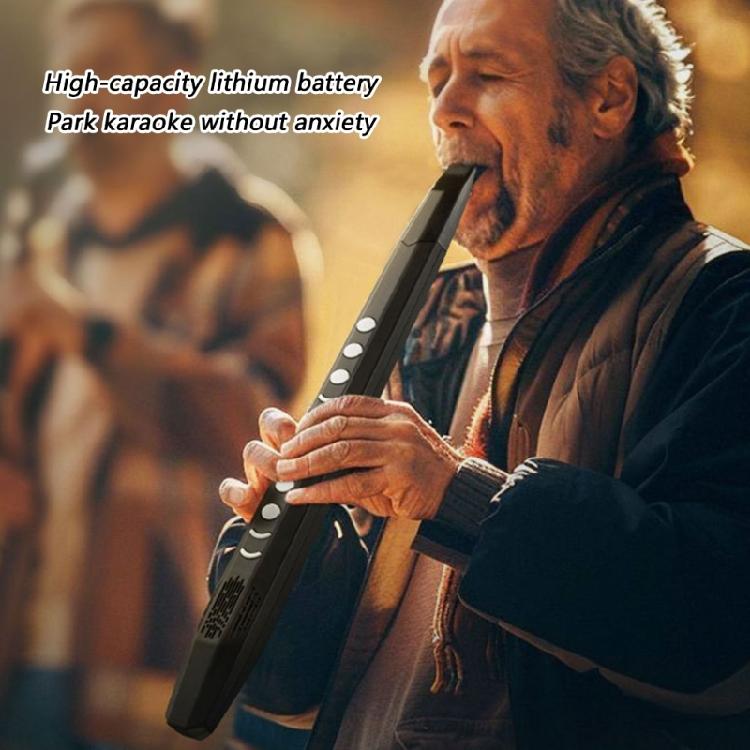 Portable Plastic Saxophone for Easy Learning Performances Speaker Function and Long Battery for Community Activity