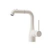 TLXT Gunmetal Gray Pull-Out Swivel Basin Faucet
