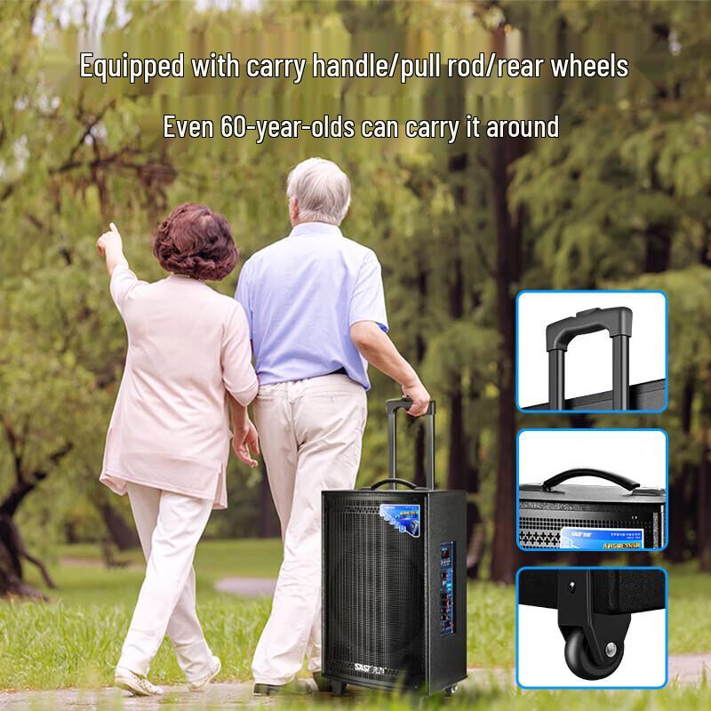 SAST High-Power Outdoor Karaoke Trolley Speaker CN plug (adapter included)