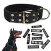 Chiens – Colliers et laisses pour chiens