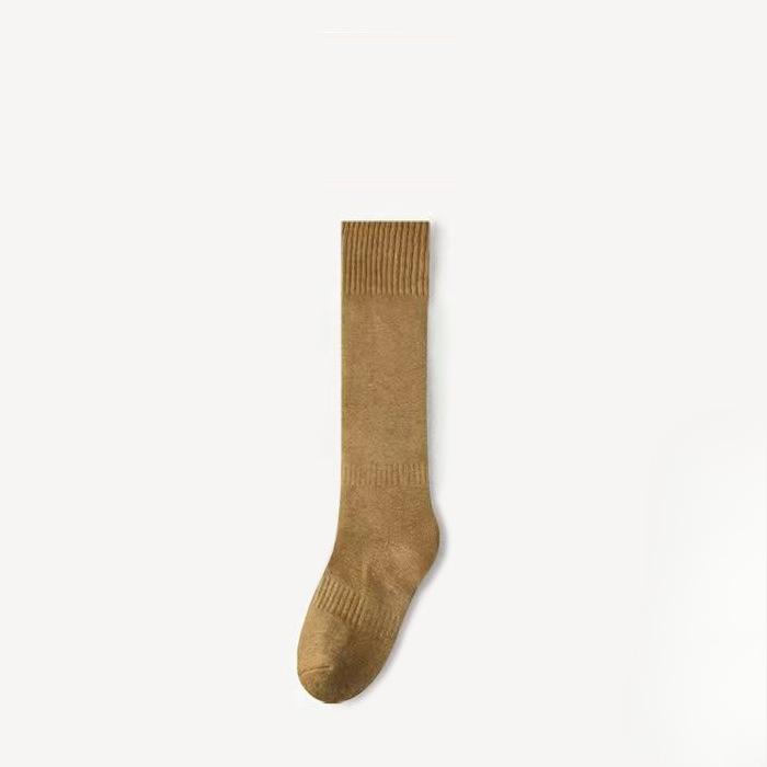 Female Autumn and Winter Thickened Plush Ring Warm Pure Color All Match Show Thin Leg Socks