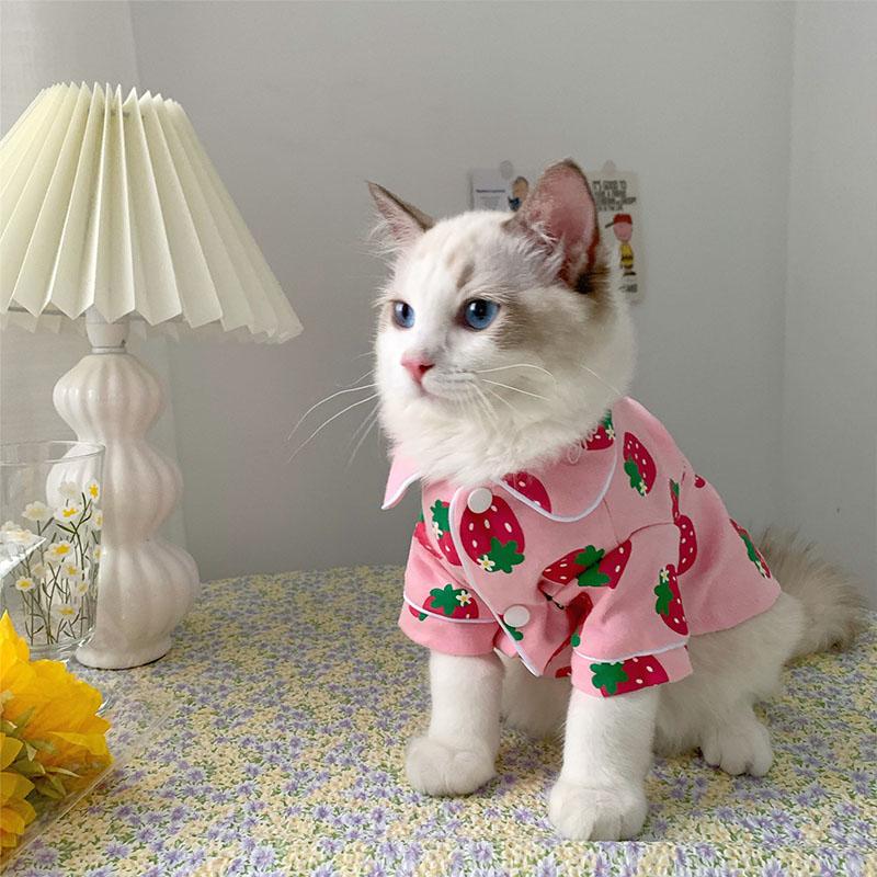 Spring Cat Costume Cute Cozy Pet Clothes for Cats Katten Kedi Hoodie Mascotas Gato Sweatshirt Cat Sweater Pets Clothing Outfit