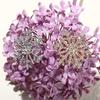 Zircon Creative Snowflake Brooch Geometric  Temperament   Decoration