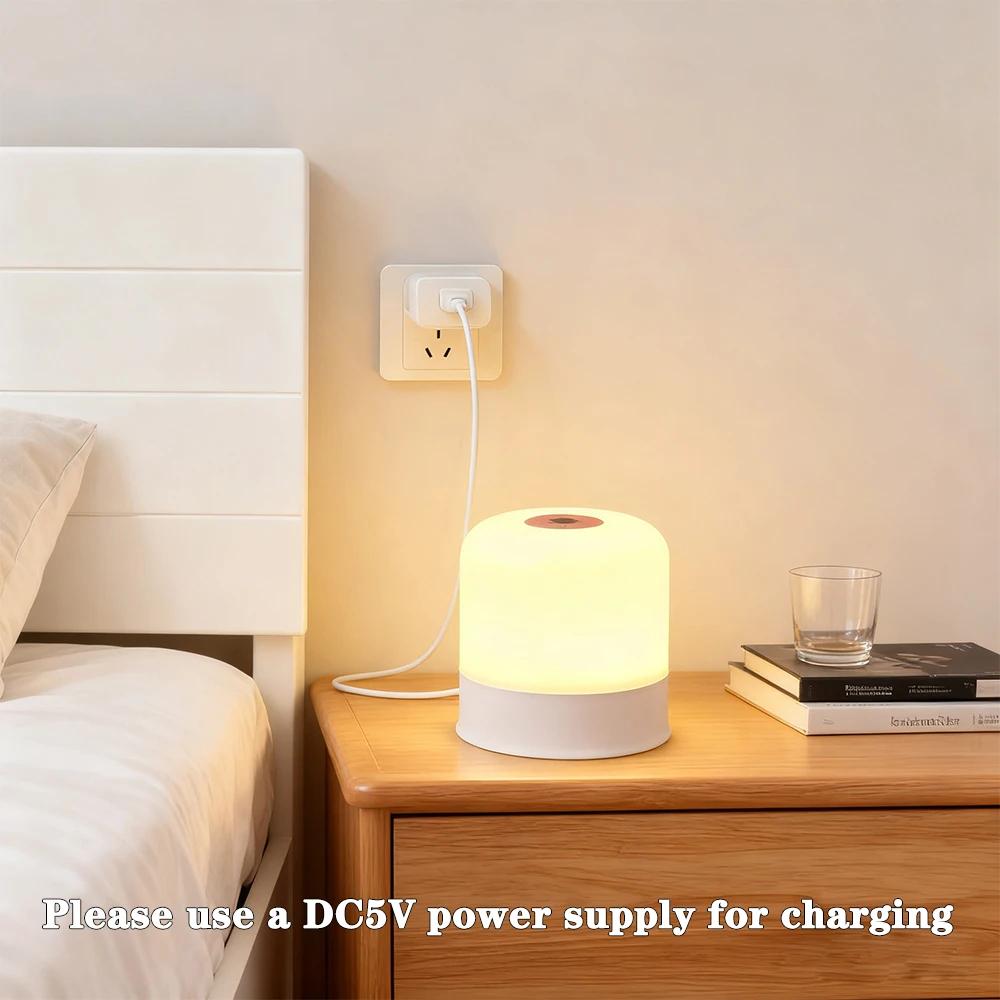 Night Light Dimmable Rechargeable/Plug-in Desktop Bedroom Bedside Lighting Decorative Touchscreen Reading RGB Desk Lamp