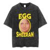 Ed Sheeran Loop Tour Australia and New Zealand  Tour Merch Washed T Shirts Fans Gifts Men Women Fashion Cotton Cozy Tshirts