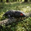 Movable Joints Lizard Figurines Flexible Articulated Lizard Movable 3D Printed Lizard  Home Decor