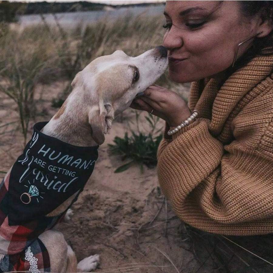 1pcs My Humans Are Getting Married She Said Yes Dog Bandana Set For Wedding Engagement Announcement Photo Props Bridal Shower Dog Wedding
