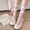 Lace Socks Women Summer Ultra-thin Transparent Crystal Silk Socks Floral Embroidery Japanese Kawaii Cartoon Cute Glass Silk Sock