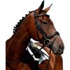 Collegiate Syntovia+ Padded Raised Flash Bridle
