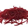 Wangfeng Simulated Red Worm Soft Lure