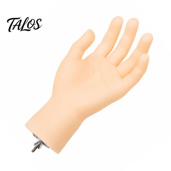 Realistic Hand Bird Perch Hand-Shaped Parrot Perch, Stand with Screw Fastener, Training for Birds Cage Budgie Cockatiels, Desensitization Interactive
