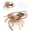 Ocean Animal Pvc Models With Authentic Lobster Designs For Marine Enthusiasts