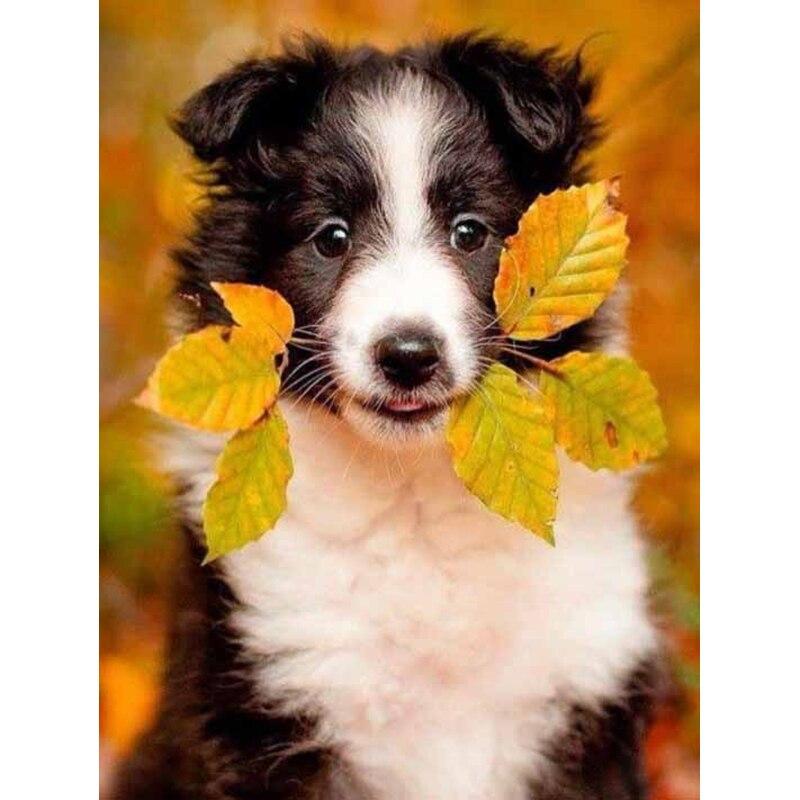 5D DIY Diament Malarstwo Jesienne Liście Pies Diament Haft Zwierząt Cross Stitch Pełne Kwadratowe Okrągłe Wiertła Home Decor Instrukcja Prezent